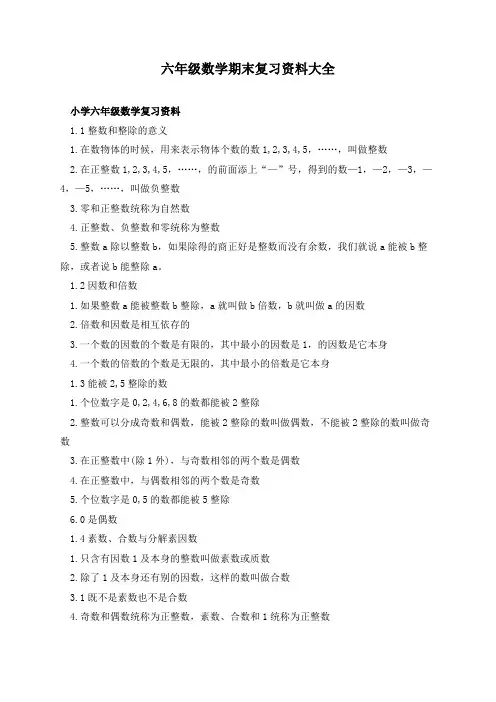 六年级数学期末复习资料大全