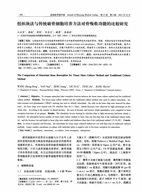 组织块法与传统破骨细胞培养方法对骨吸收功能的比较研究