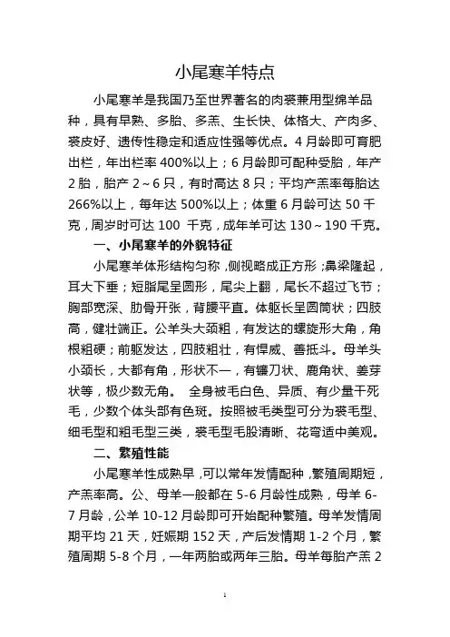 小尾寒羊引种须知