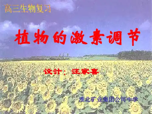 植物激素调节复习课件
