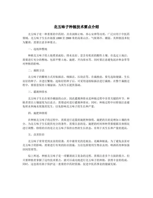 北五味子种植技术要点介绍