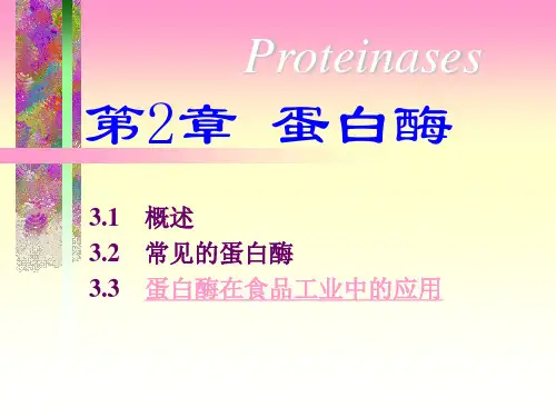 3蛋白酶