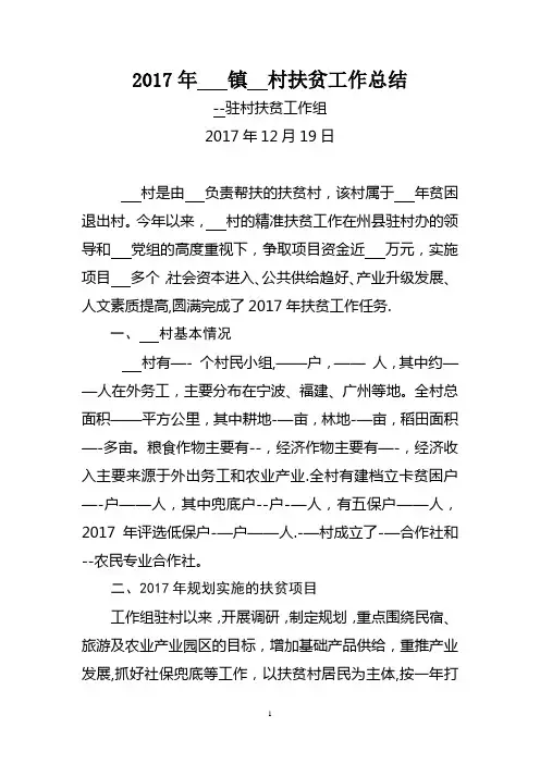2017年精准扶贫工作总结