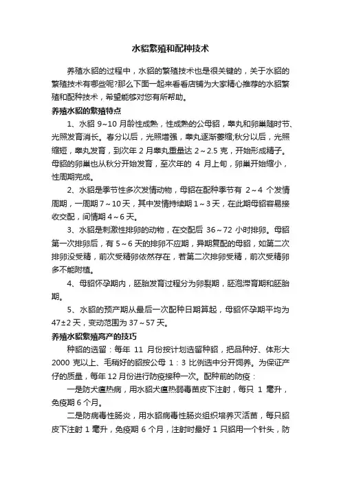 水貂繁殖和配种技术