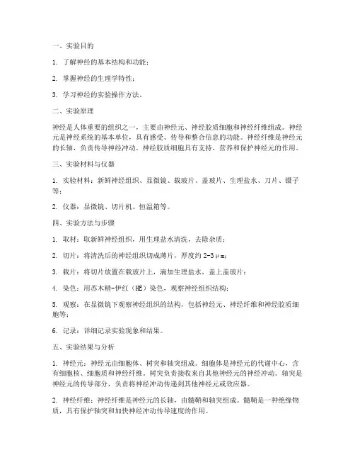 神经的实验报告