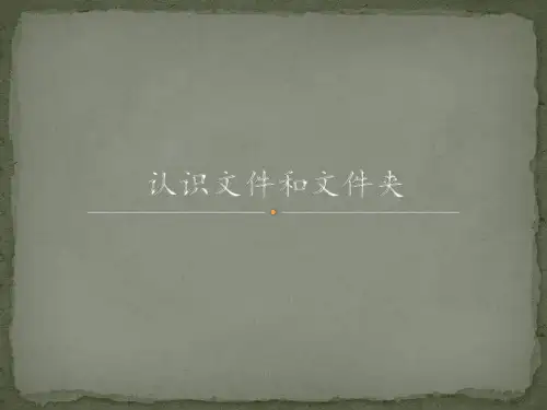 第一册信息技术课件-认识文件和文件夹北京版