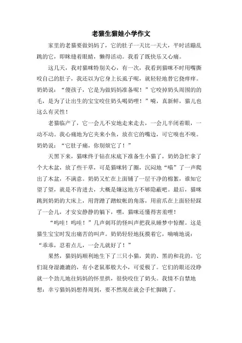 老猫生猫娃小学作文