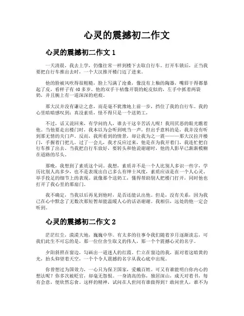 心灵的震撼初二作文