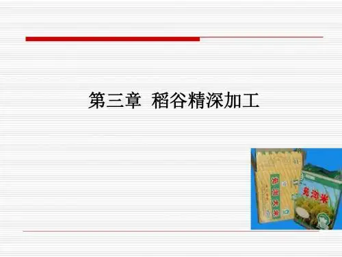 稻谷精深加工综述
