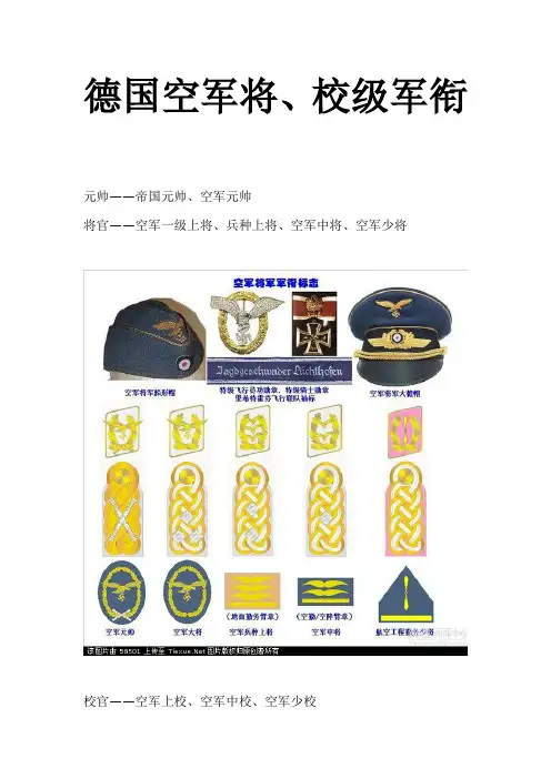 德国空军将、校级军衔标志
