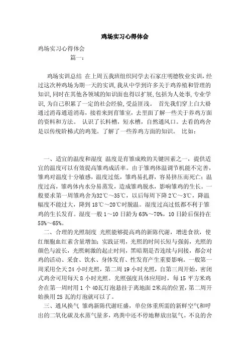 鸡场实习心得体会（范文）
