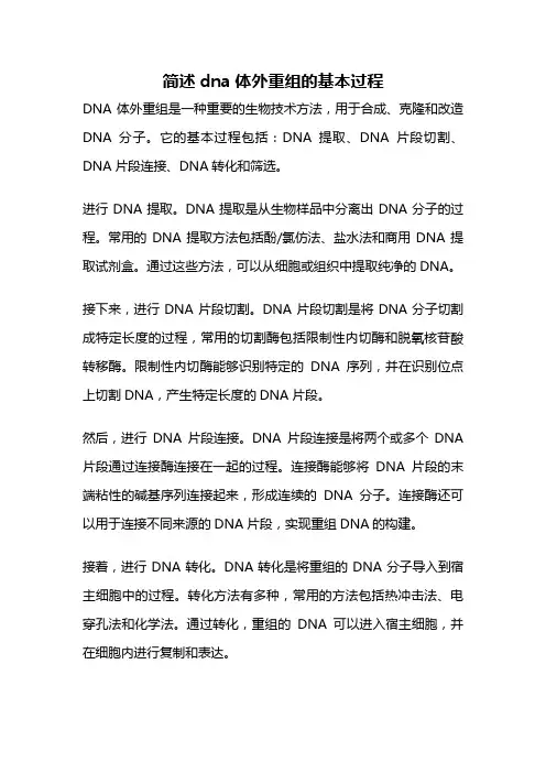 简述dna体外重组的基本过程