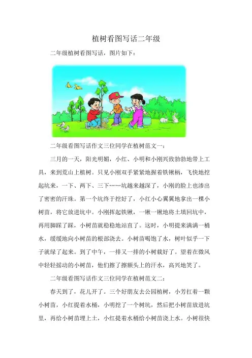 植树看图写话二年级