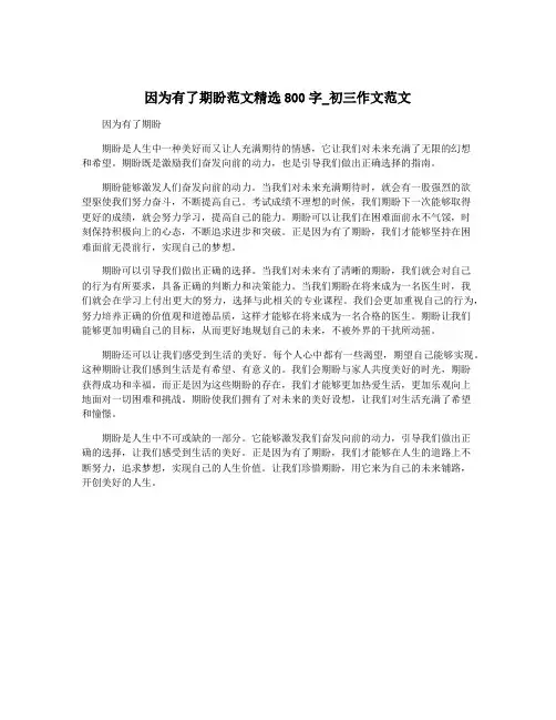 因为有了期盼范文精选800字_初三作文范文