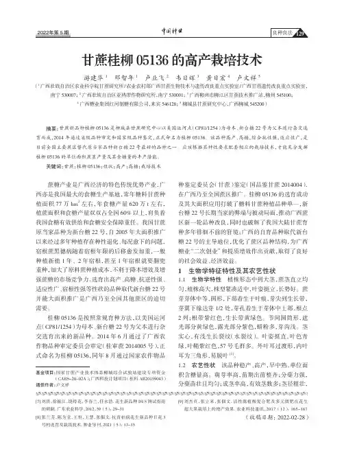 甘蔗桂柳05136的高产栽培技术