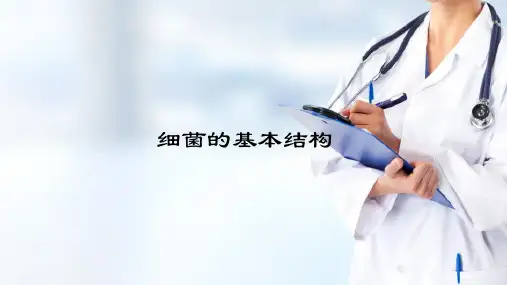 微生物学 细菌 细菌的基本结构