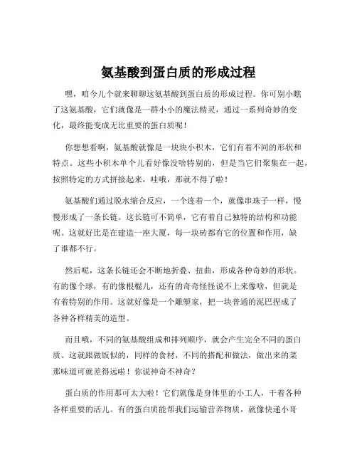 氨基酸到蛋白质的形成过程