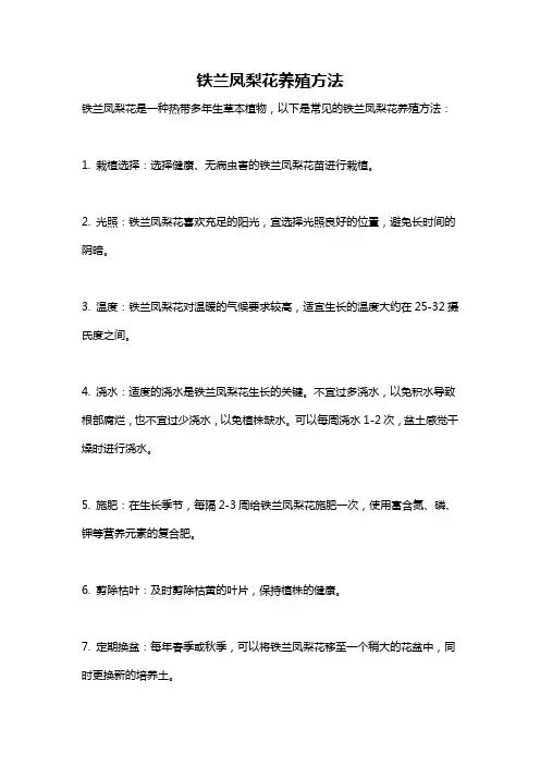 铁兰凤梨花养殖方法