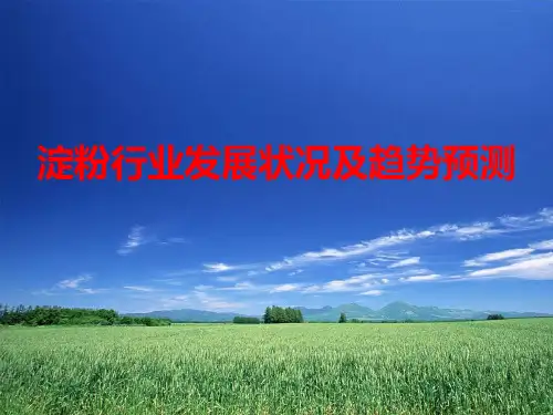 中国淀粉工业情况37页