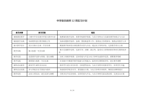 中学音乐教师12周实习计划