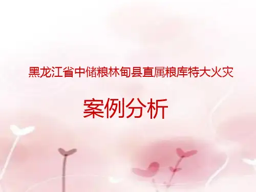 黑龙江省中储粮林甸县直属粮库特大火灾