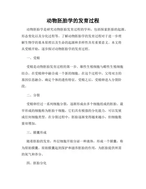 动物胚胎学的发育过程