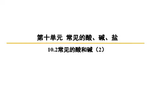 10.2常见的酸和碱(2)+课件-2024-2025学年九年级化学人教版(2024)下册