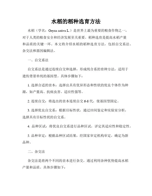 水稻的稻种选育方法