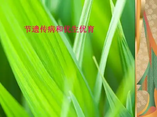 遗传病和优生优育PPT课件