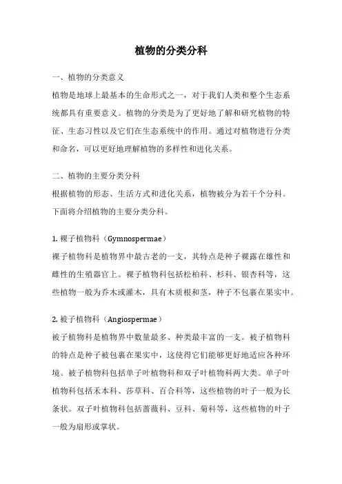植物的分类分科