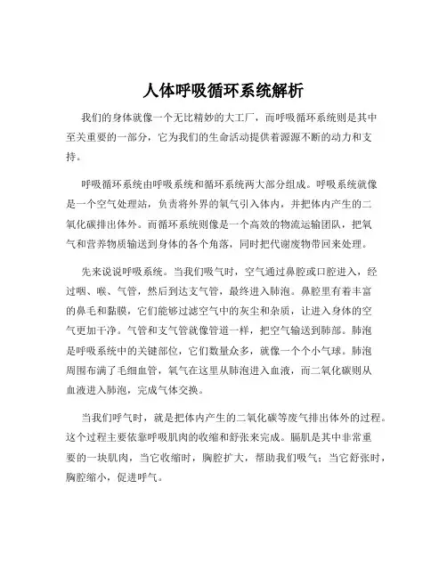 人体呼吸循环系统解析