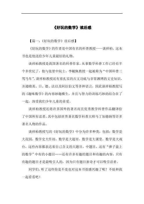 《好玩的数学》读后感
