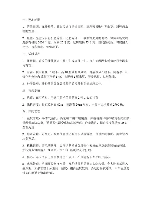 大棚黄瓜种植技术之黄瓜管理技术