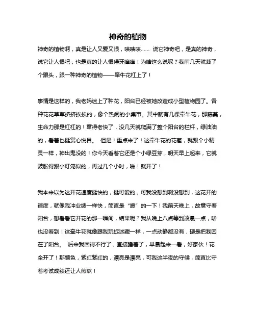 作文《神奇的植物》