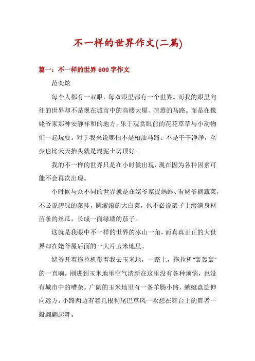 不一样的世界作文(二篇)