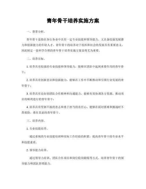 青年骨干培养实施方案