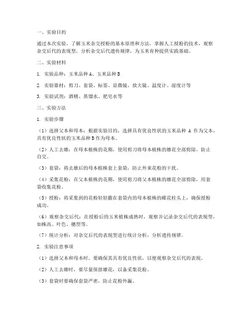 玉米杂交授粉实验报告
