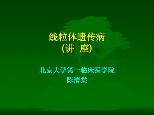 线粒体遗传病(讲 座)