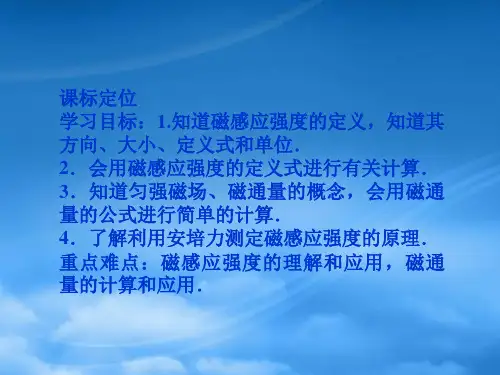高二物理第3章第三节磁感应强度磁通量课件教科.ppt