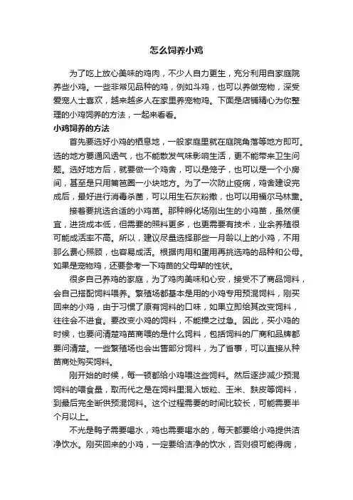 怎么饲养小鸡