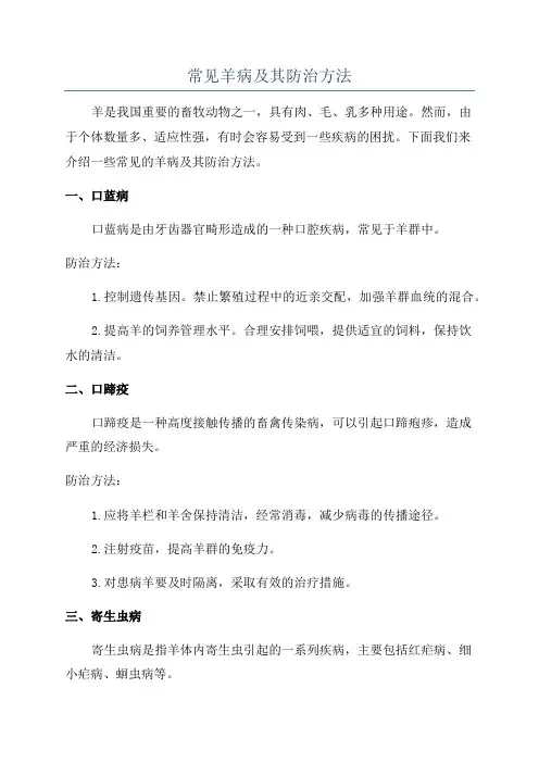 常见羊病及其防治方法