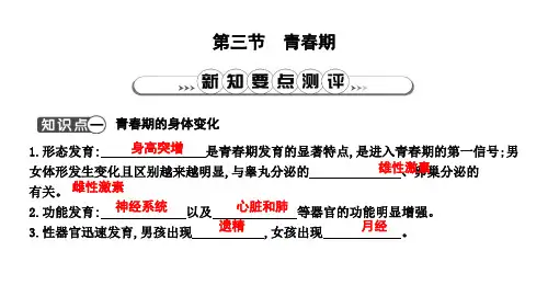 新人教版七年级下册生物课件：青春期