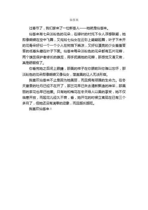 作文：仙客来