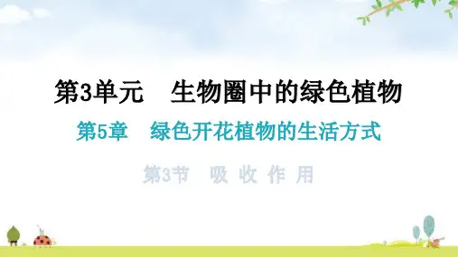 北师大版七年级生物上册第3单元第5章第3节吸收作用教学课件