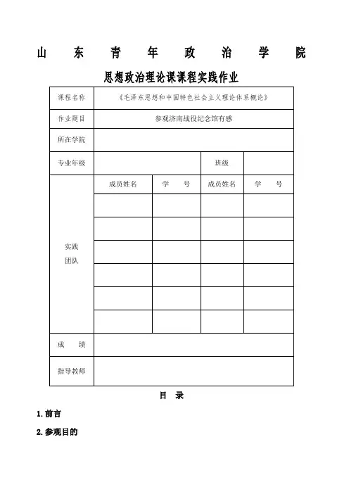 毛概实践作业