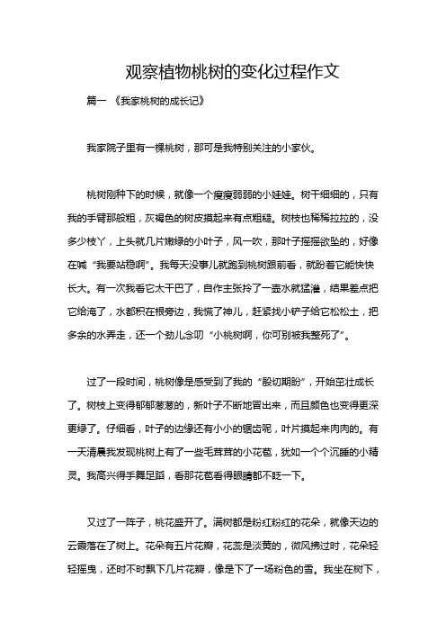 观察植物桃树的变化过程作文