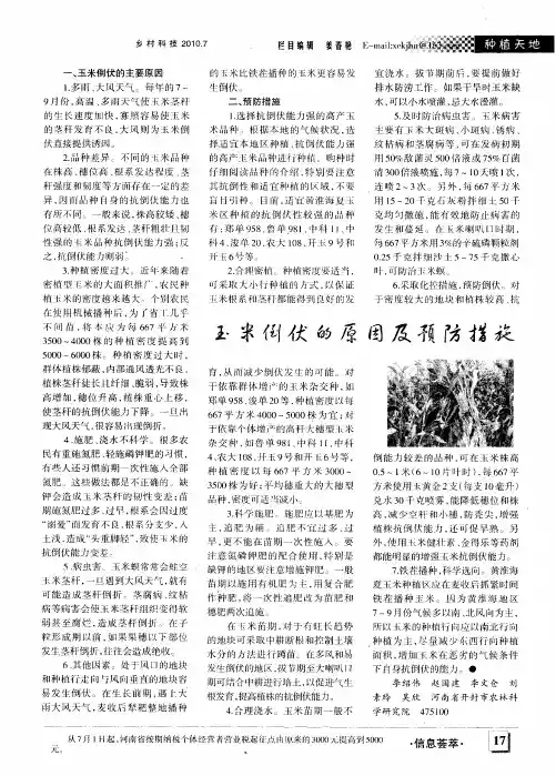 玉米倒伏的原因及预防措施