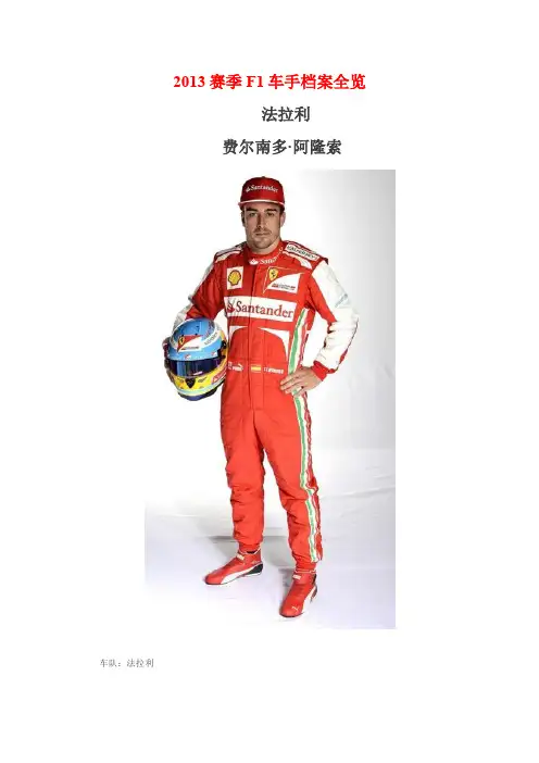 2013赛季F1车手档案全览