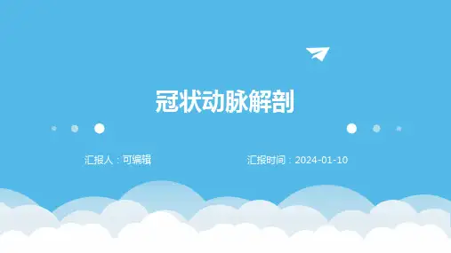 冠状动脉解剖PPT
