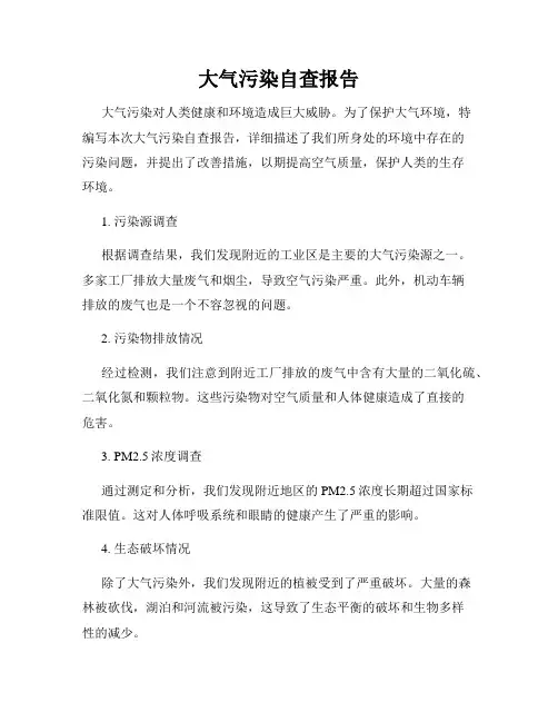 大气污染自查报告
